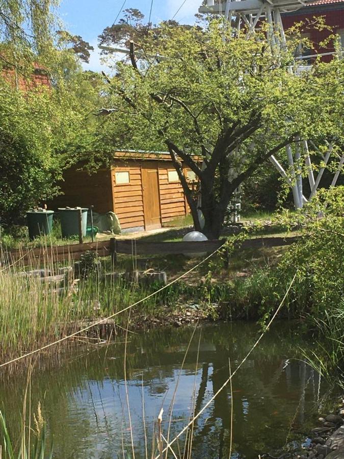 Fewo Schwalbennest Am Meer-Exklusiv-Eigener Strandzugang Ostseebad Kühlungsborn Buitenkant foto