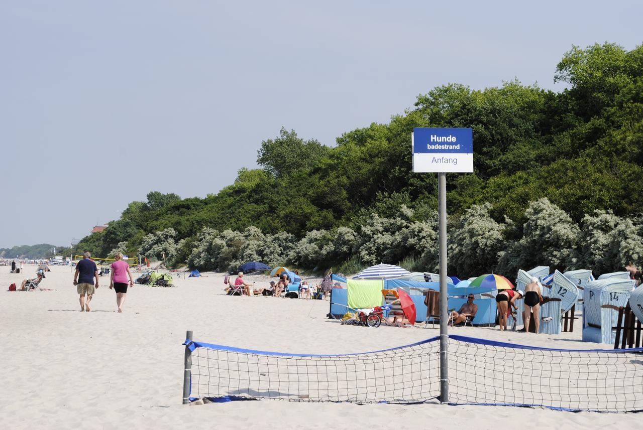 Fewo Schwalbennest Am Meer-Exklusiv-Eigener Strandzugang Ostseebad Kühlungsborn Buitenkant foto